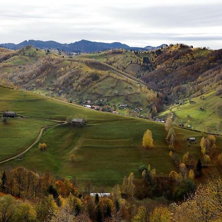 Pensiunea Montan Din Bran,Sat Simon Spa Indoor Бран Екстер'єр фото