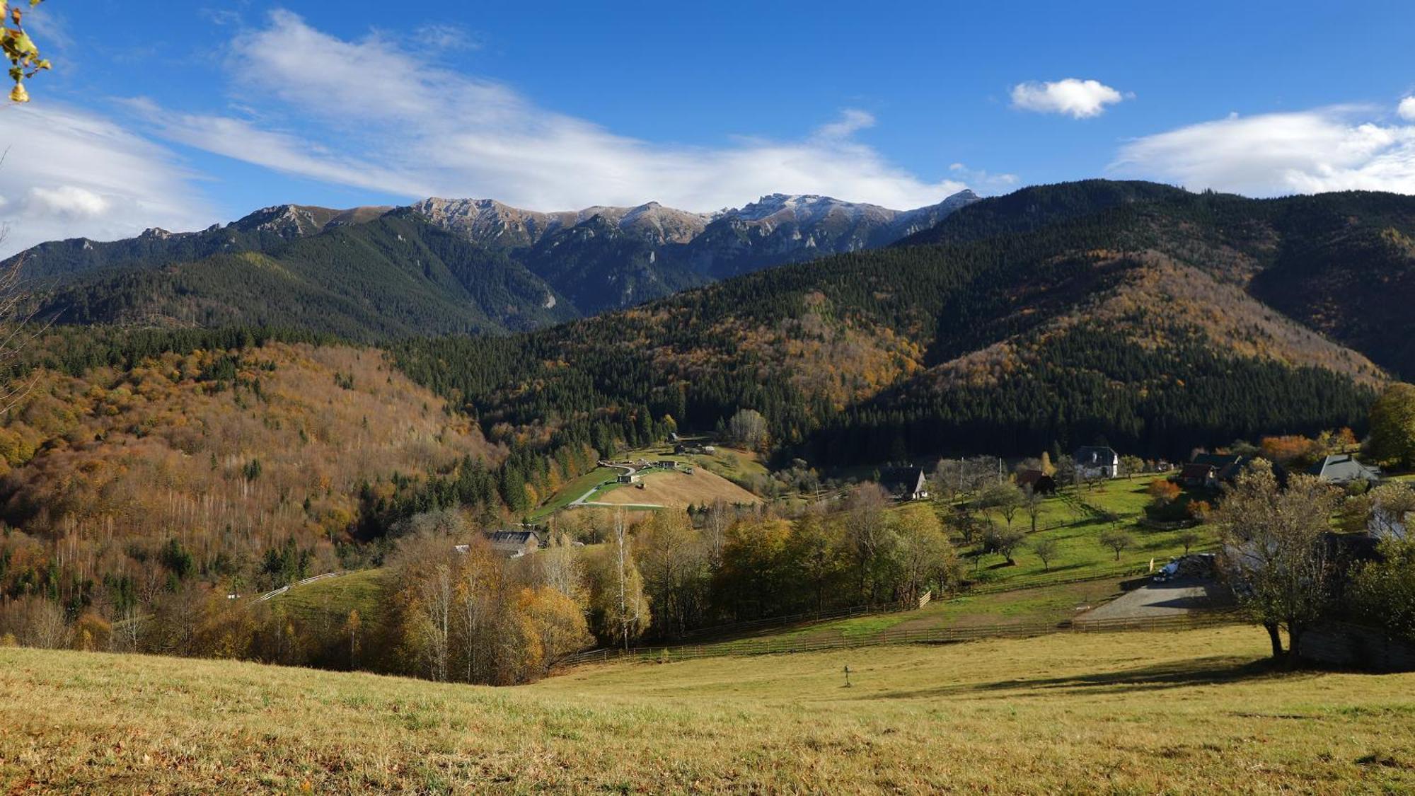 Pensiunea Montan Din Bran,Sat Simon Spa Indoor Бран Екстер'єр фото